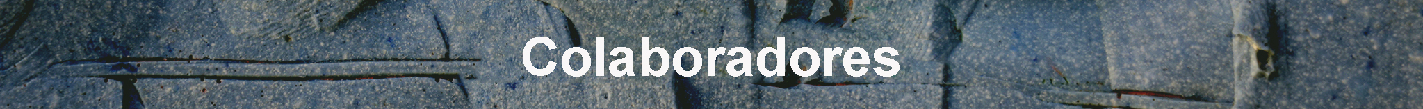 27. imagen. colaboradores